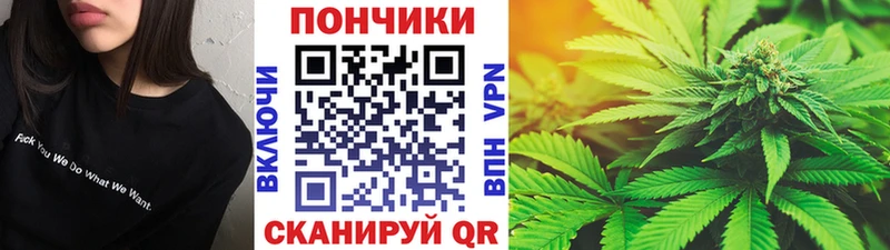 Где можно купить наркотики Салехард Конопля МЕФ APVP Галлюциногенные грибы ГАШ