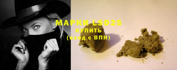 спиды Аркадак