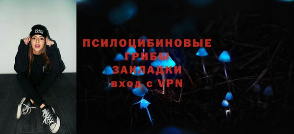 Альфа ПВП Армянск