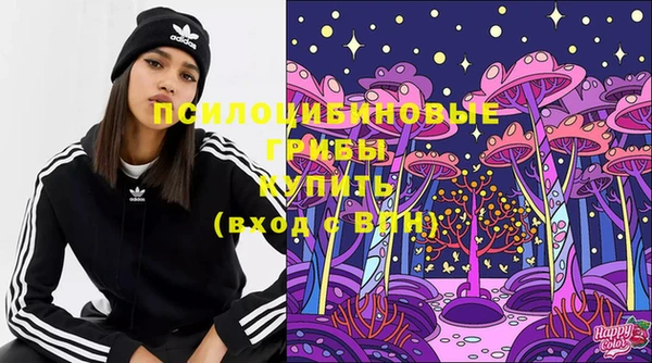 Альфа ПВП Армянск
